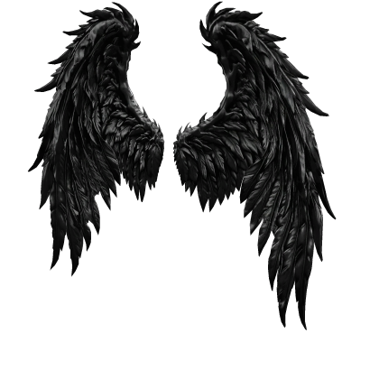 Black angel wings