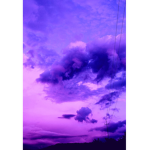 ~ P u r p l e V i b e s ~