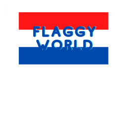 Flaggy's concert