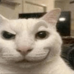 ~~ Cat Mafia ~~