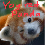 Red panda squad official