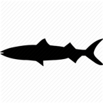 Barracuda Airlines