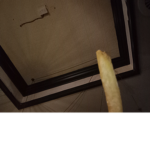The chip chips