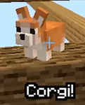 Mango_is_dumb