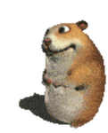 Chomik gang (cool)