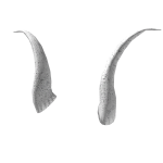White Iron Horns
