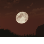 Grace's Orphan Home