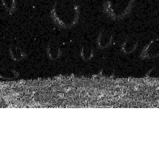 ENPHOSIUS_RECREATION_BETA