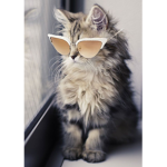 Meow kitty's meow