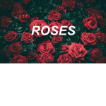 _ROSES_