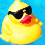 The cool duck gang (cool ducks only)