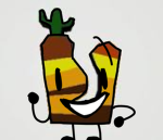 The BFDIA Group Or Best Robloxians!