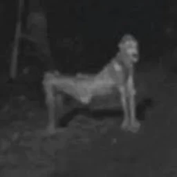 Skinwalker icon