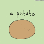 Potato Squad Foreva