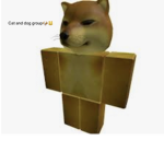 The cat and dog group$