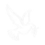 [ARC] Salvation Cultists