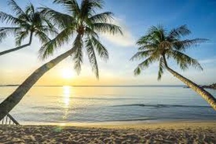 Not life in paradise 