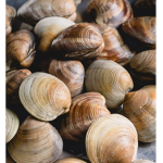 Clem and Clams