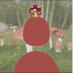 The crazy mushroom’s