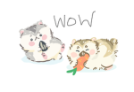 Kitty pretty meow