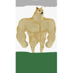 The Doge Attack Team