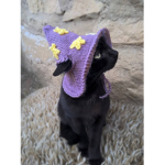 Cute cats Cute fits