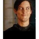 SPIDER-CORRY GROUP