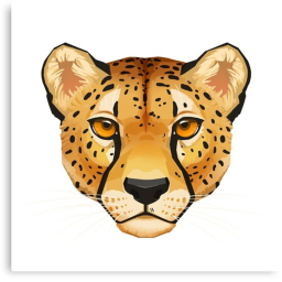 The Cheetah group Hangout