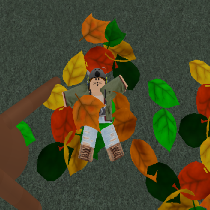 Fall/Leaves Photo Roblox decal