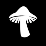 Mighty_Mushrooms