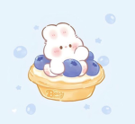 THE OFFICIAL BLUEBERRY CLUB!