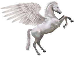 Find The Pegasus