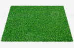 Delpiero1023