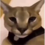 ######## LUT