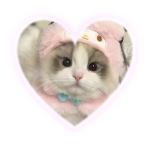 Kitty Cat Club :3 meow