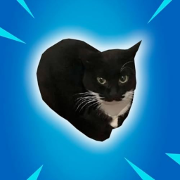 Maxwell's OBBY