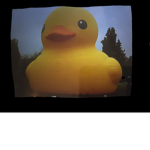 Duckies or Monke?
