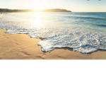 Sunshine co