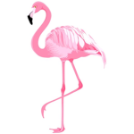 Flamingo and unicorn group