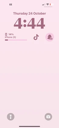 [SQ] Sizzle Queen Roblox group icon