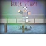 Brook's Camp