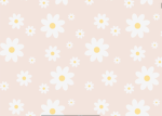 {Cutie Flowers}
