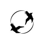 One Eye Ravens (OER)