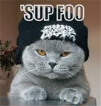 The Kool Cats Clan