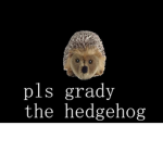 PLZ IT SHOULD BE GRADY THE HEDGEHOG