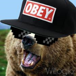Mlg Bears