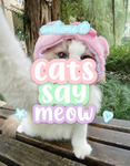 CatsSayMeow