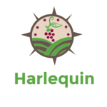 Harlequin Enterprises ©
