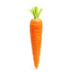 the Carrot Group E