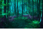EnchantedHaven